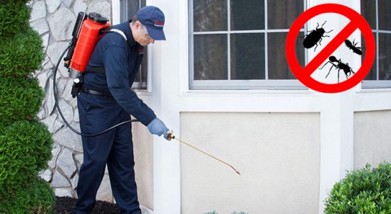 Yenifoça Gümüşkurt İlaçlama böcek ilaçlama ve haşere kontrolü — ilaclama-tr.com